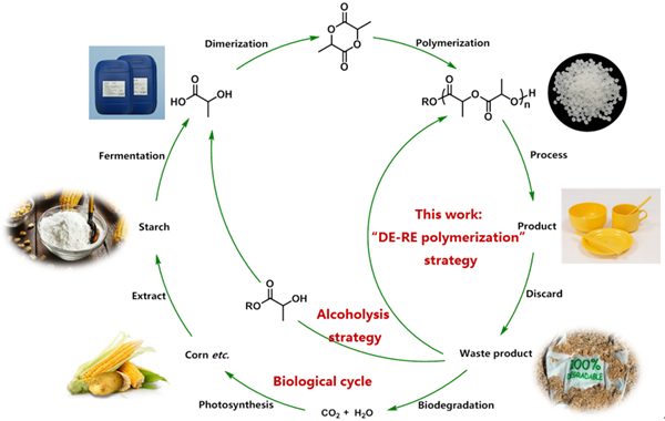 图1.聚乳酸循环策略