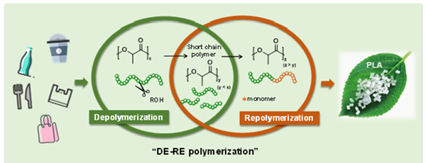 图2.聚乳酸降解再聚合化学循环策略