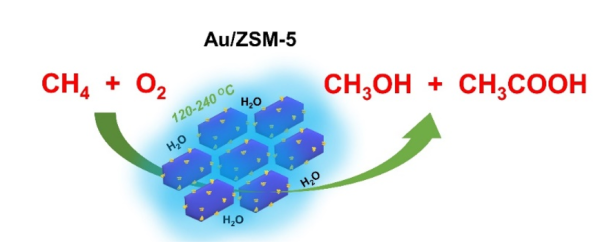 Au/ZSM-5催化甲烷选择性氧化生成甲醇与乙酸示意图