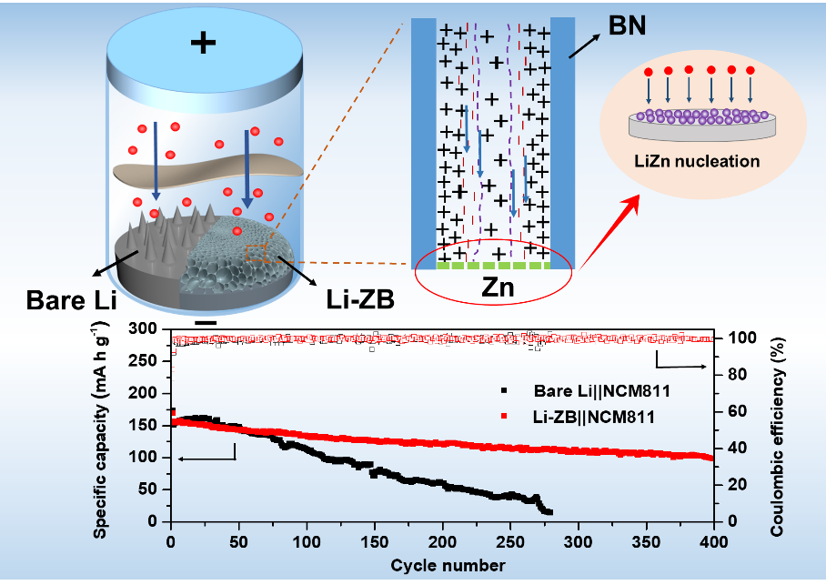 高Zeta电位h-BN掺杂锌锂合金驱动电动效应调控锂沉积行为以实现高性能锂金属负极