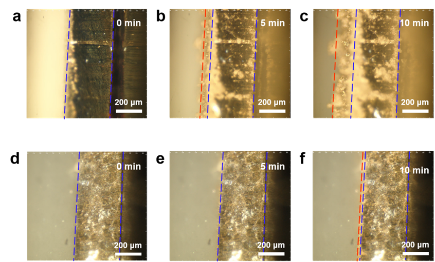 图3. (a-c) 纯锂金属电极和 (d-f) Li-ZB电极在5 mA cm-2的电流密度下沉积不同时间锂的横截面图像