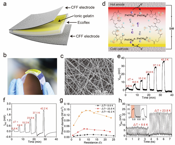 图3 基于i-TE离子明胶的柔性热电模块的组成及产电性能