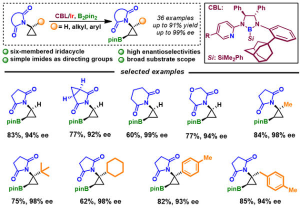 CBL/Ir催化的环丙胺类化合物的不对称C(sp3)-H键硼化反应