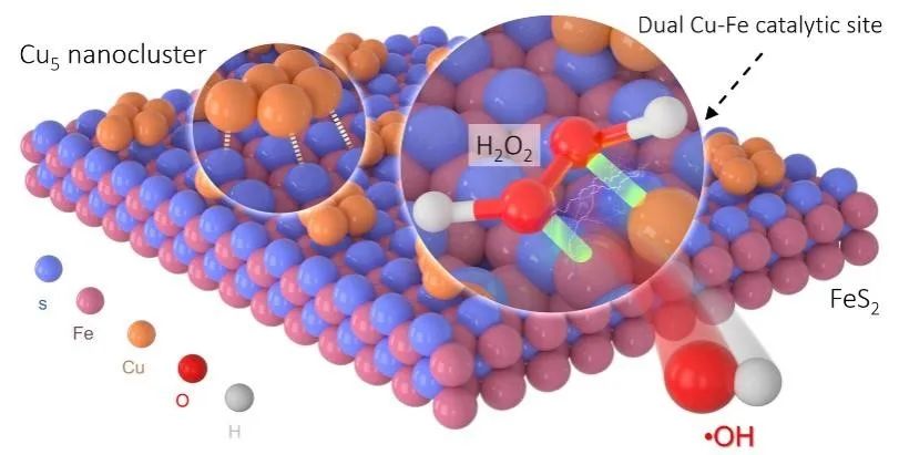 图1. Cu5/FeS2界面周边Cu-Fe双位点实现H2O2到•OH选择性活化示意图