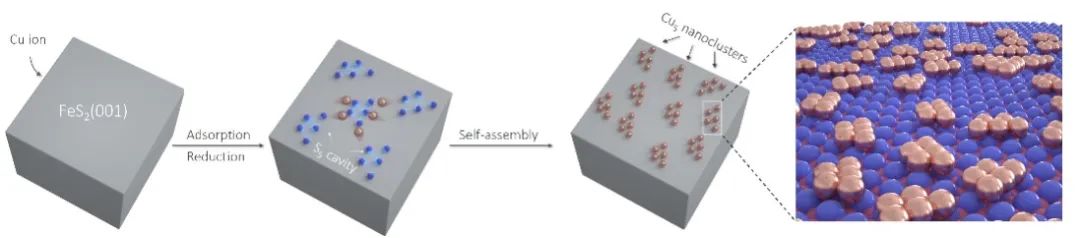 图2. 单原子层Cu5纳米团簇在FeS2(001)表面自组装示意图