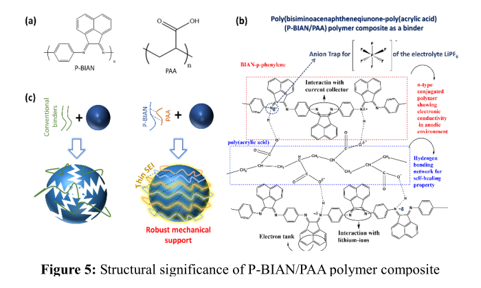 P-BIAN / PAA 聚合物复合材料的结构示意