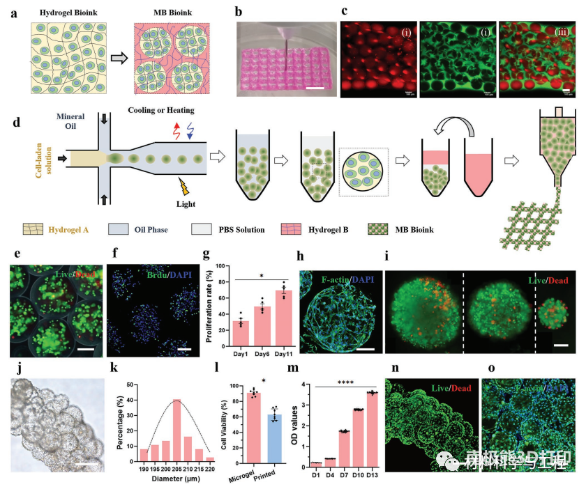 负载细胞的MB生物墨水的制造和3D打印