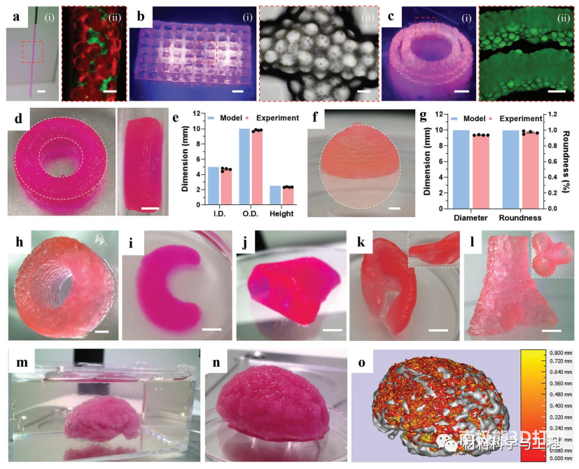 使用MB生物墨水的3D打印能力和保真度