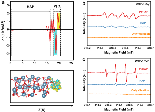 大连理工大学王敏团队Applied Catalysis B: Pt/HAP压电催化HMF到FFCA