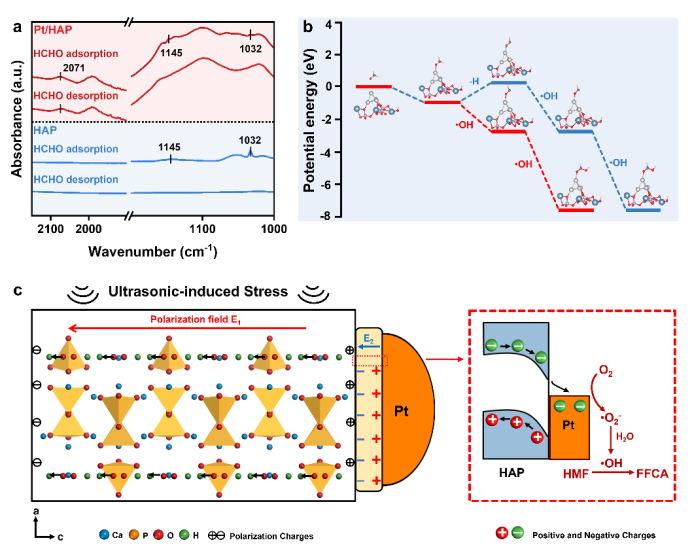 大连理工大学王敏团队Applied Catalysis B: Pt/HAP压电催化HMF到FFCA