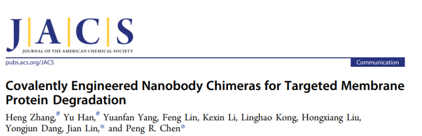 共价工程化纳米抗体嵌合体用于实现靶向膜蛋白降解