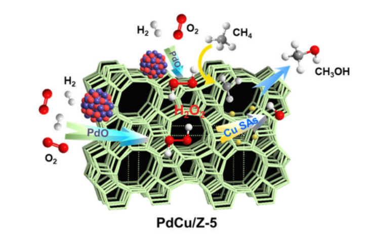 Angew：PdCu/沸石上甲烷选择性氧化制含氧化合物的串联催化