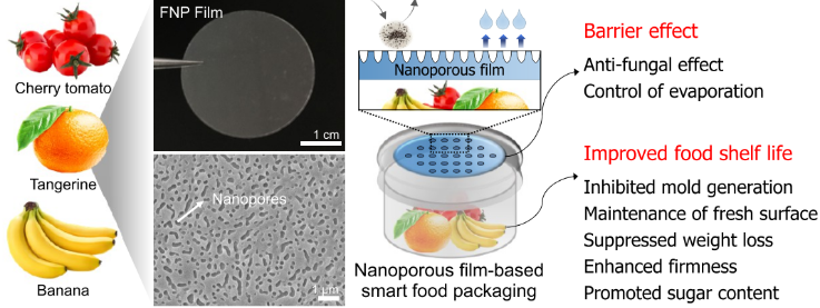 Nano Letters：可生物降解、柔性纳米多孔膜用于构建食品包装系统