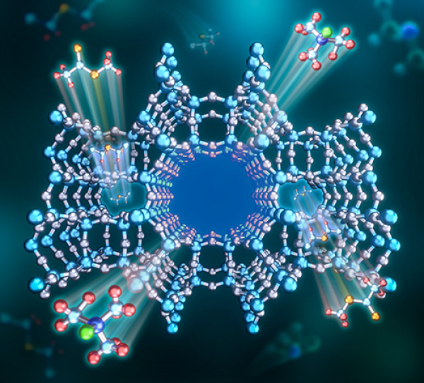 大连化物所提出选择性调控分子筛酸性位分布的新策略