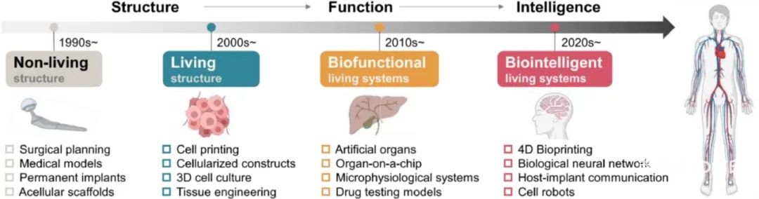 图11 AM技术走向生物智能的路线图