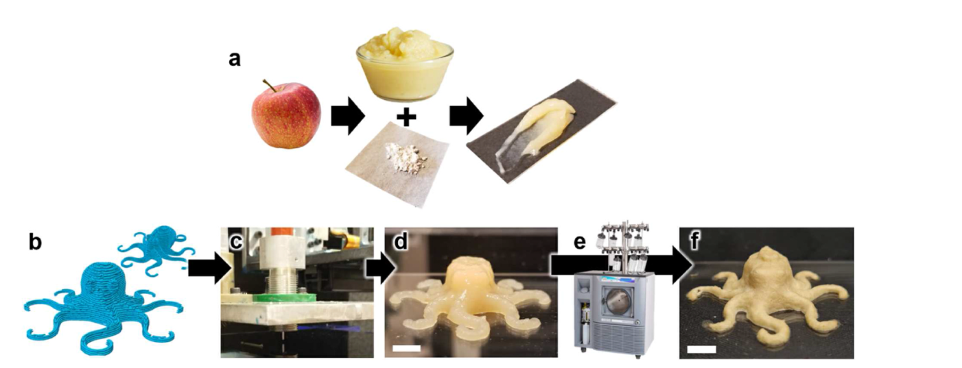 将生食品转化为可打印的食物结构的过程