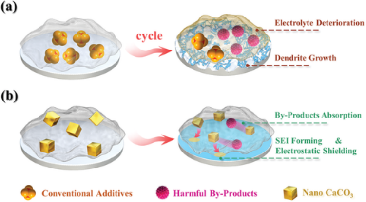 AEM: 纳米碳酸钙缓释效应助力高循环高安全锂金属电池