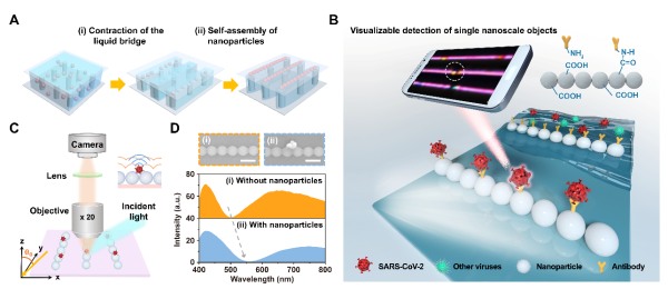 基于印刷一维纳米结构实现单纳米颗粒的可视化检测