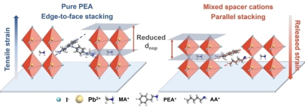 间隔阳离子调节的应力缓释影响准二维钙钛矿性质