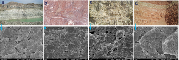 江苏凹凸棒石黏土矿（a）和甘肃砖红色（b）、土黄色（c）和杂色（d）混维凹凸棒石黏土矿数码照片及其相应SEM照片