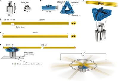 首个DNA材料制成的纳米马达面世.jpg