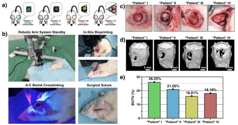 利用“生物混凝土”墨水及机械臂对不同颅骨缺损形态的大鼠“患者”进行原位修
