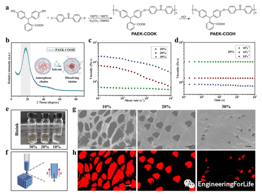 PAEK-COOH 的合成和生物墨水的可印刷性