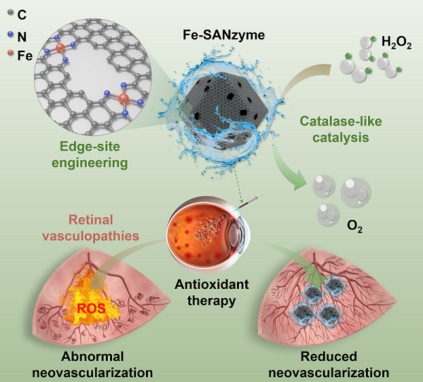 缺陷工程化高活性过氧化氢纳米酶用于眼底新生血管疾病治疗