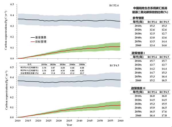 植物所等在未来中国陆地碳汇及其抵消能源二氧化碳排放研究中取得进展