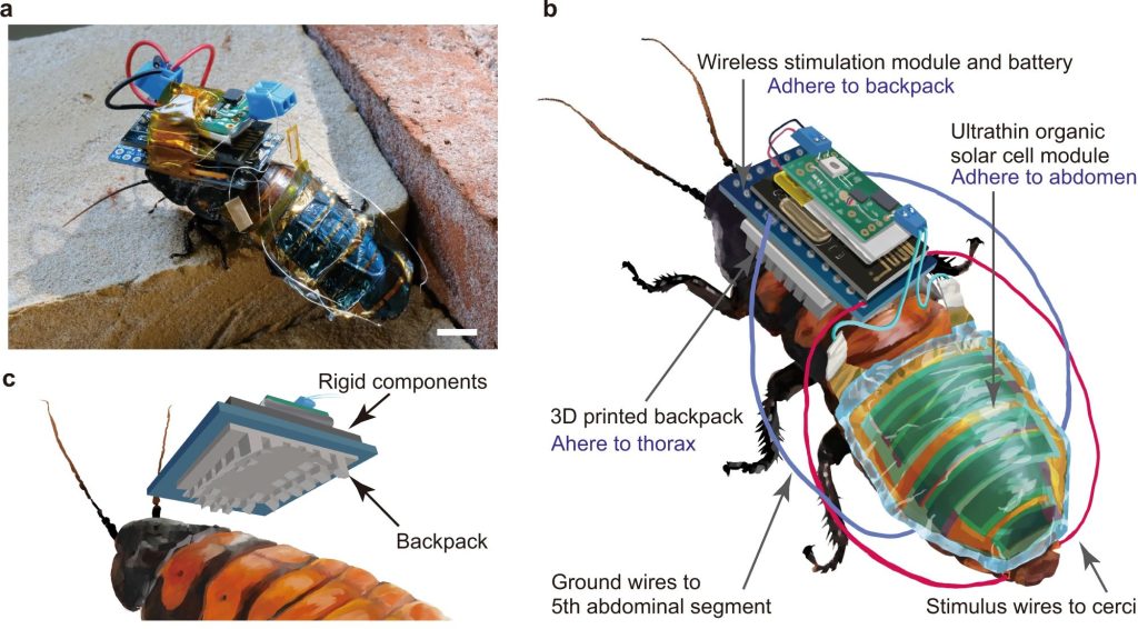 研究人员采用3D打印技术制造的神经控制背包