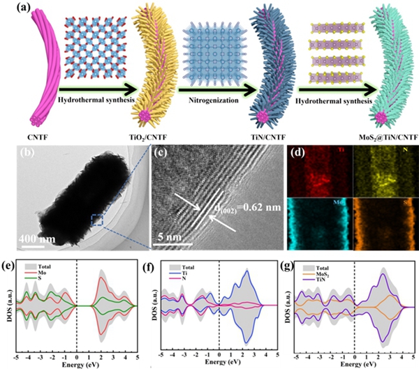 MoS2@TiN/CNTF合成及DOS图