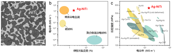 高弹性银-镍钛电接触材料的微观三维互穿结构及其性能与现有材料的比较