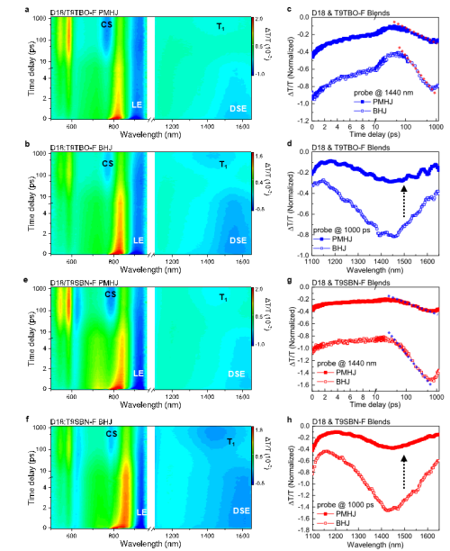 平面混合异质结和体相异质结中的T1等激发态动力学过程