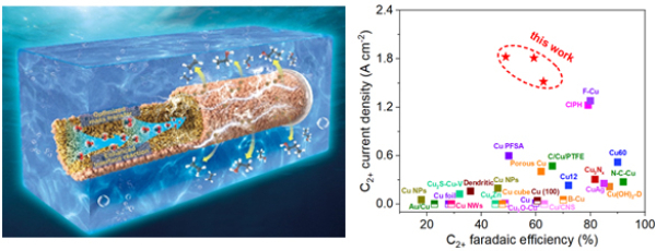 中空纤维铜电极高效电还原CO2示意图与电催化性能