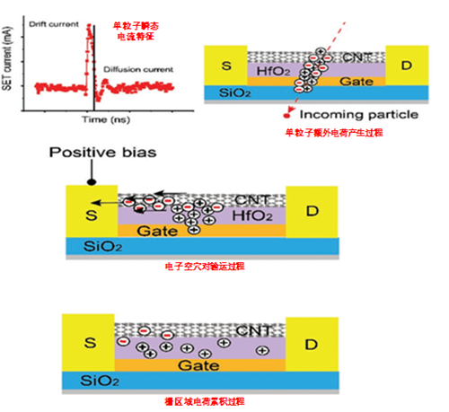 碳纳米管电子器件单粒子效应机理