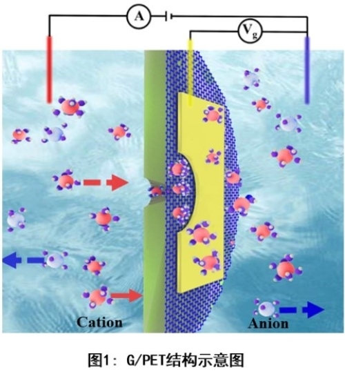 近代物理所单石墨烯纳米孔调控离子输运研究获进展