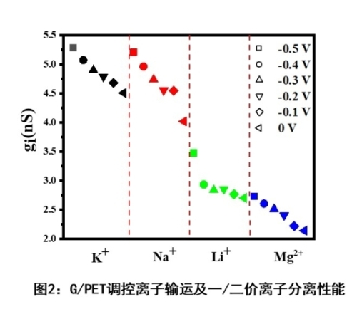 近代物理所单石墨烯纳米孔调控离子输运研究获进展