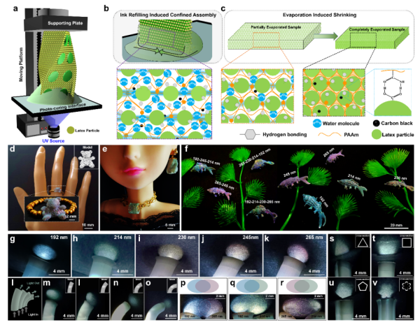 3D结构色打印机理及各种复杂3D光子晶体结构和光学传输结构