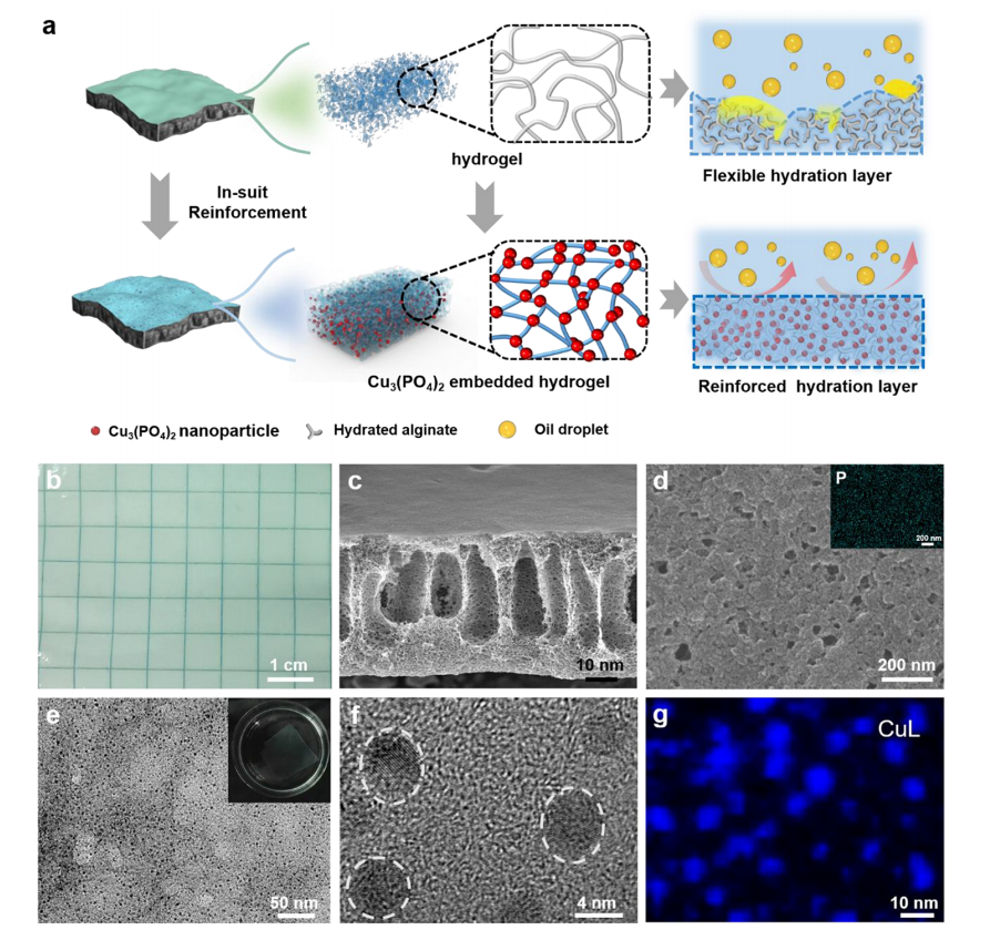 磷酸铜纳米晶体增强水凝胶