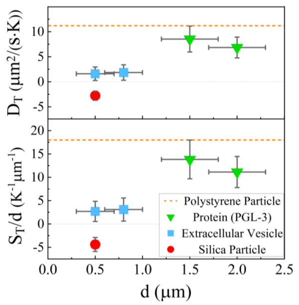疏水蛋白质颗粒（绿色倒三角）的热泳比亲水外泌体（蓝色方块）快约4倍，而二氧化硅（红色圆圈）的热泳迁移率和Soret系数均为负