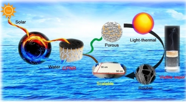 青岛能源所等构筑新型纤维素基太阳能光热转化材料