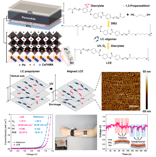 基于液晶弹性体增韧的可穿戴钙钛矿太阳电池