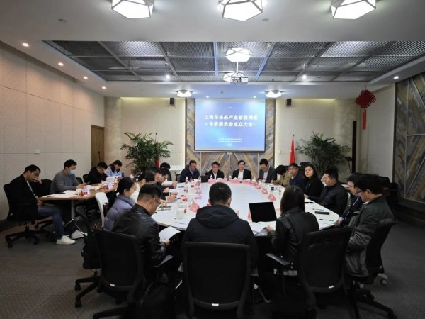 上海市未来产业新型储能专家委员会成立