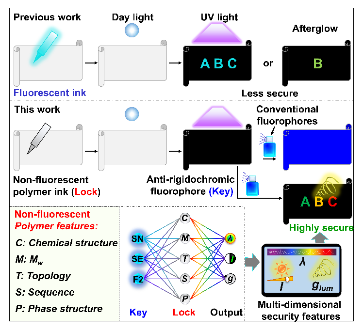 通过非荧光型聚合物进行数据加密和防伪