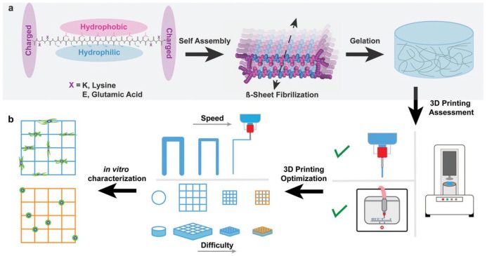 图1：MDPs的组装和3D打印原理示意图
